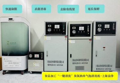 除腥、灭菌、保鲜臭氧微纳米气泡清洗设备