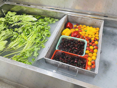 臭氧微纳米气泡清洗消毒机