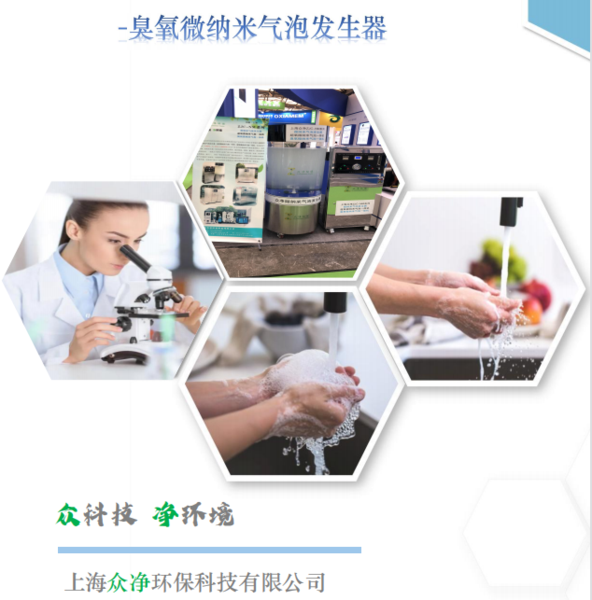 高浓度臭氧微纳米气泡发生器.png